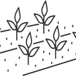 Organic-waste-composting-150x150